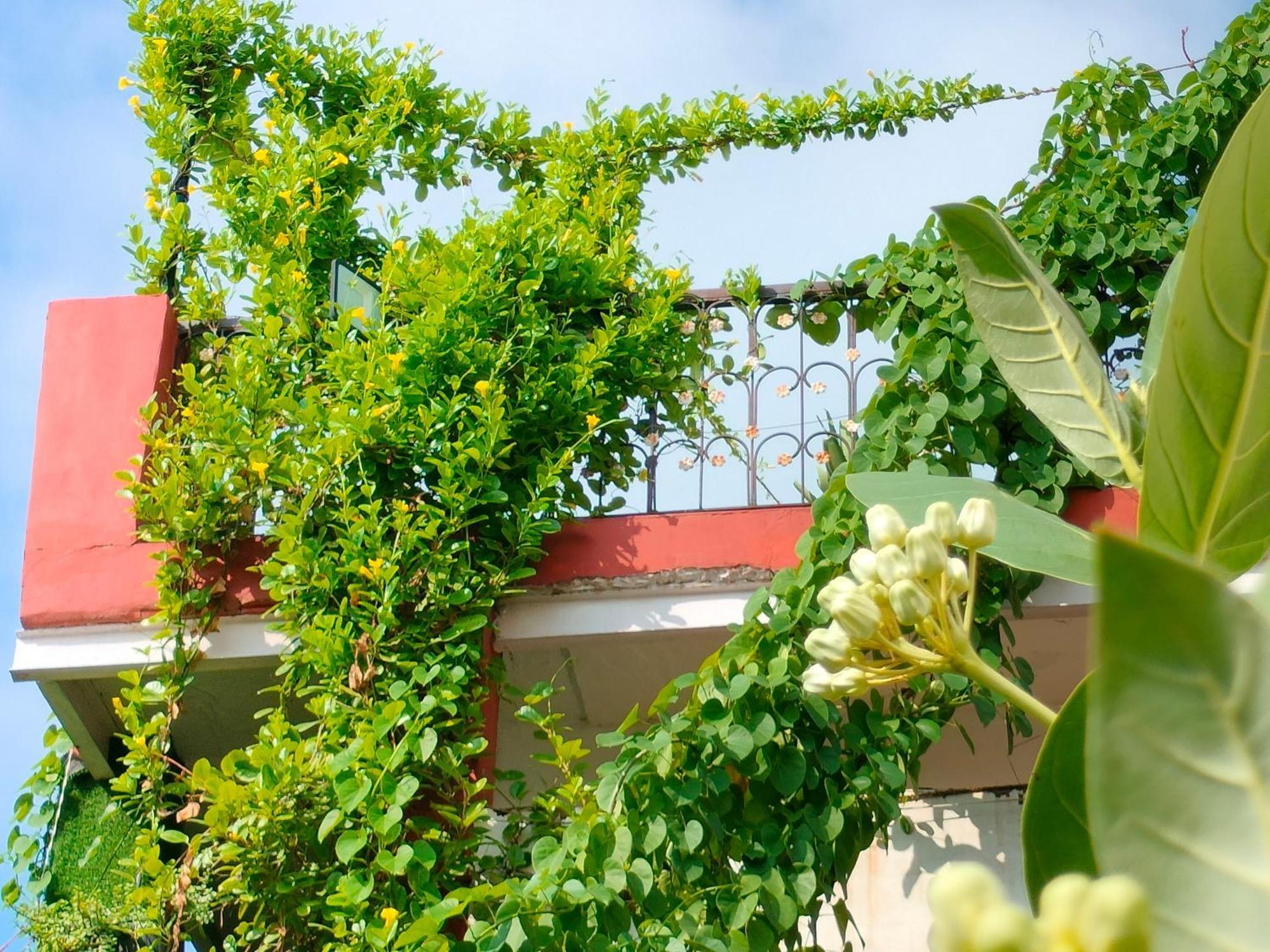 Kishan Home Stay Матура Екстериор снимка