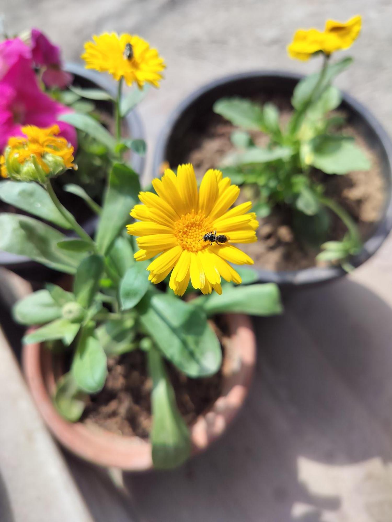 Kishan Home Stay Матура Екстериор снимка